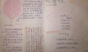 四年级迎春小报