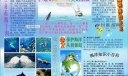 海洋—人类的朋友手抄报