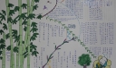 多彩四季手抄报