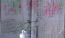 古今荷咏手抄报作品