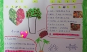 幼儿园健康手抄报，蔬菜和垃圾食品