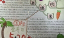营养日合理饮食手抄报