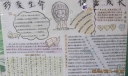 珍爱生命之手抄报