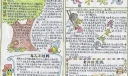 小学生手抄报欣赏