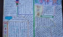 法律伴我行手抄报图片