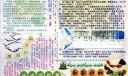 话说信任手抄报图片