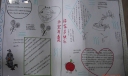 做一名合格的中学生手抄报