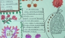 5.20全国学生营养日手抄报