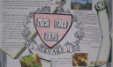 哈佛大学我的大学梦手抄报
