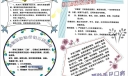 夏季疾病预防手抄报