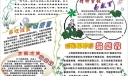 预防感冒手抄报版面图