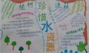 植树造林珍惜水资源手抄报