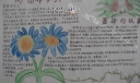 2022三月学雷锋手抄报