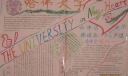 哈佛大学手抄报图片