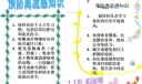预防禽流感手抄报下载