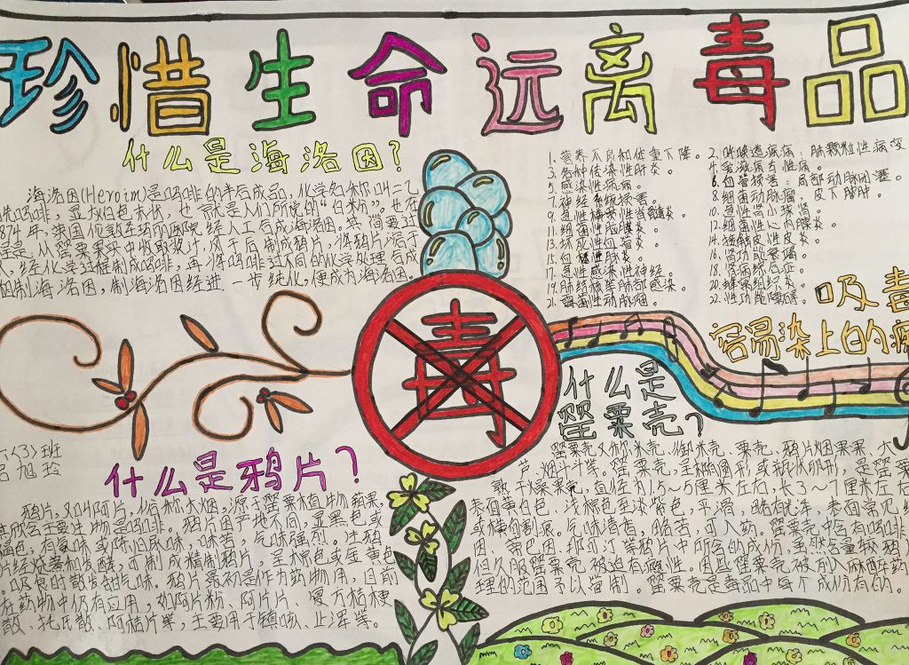 依法禁毒从我做起手抄报大全