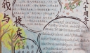 校庆八十周年手抄报，我与校庆