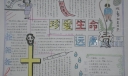关于毒品的手抄报