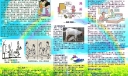 孝亲敬长手抄报下载