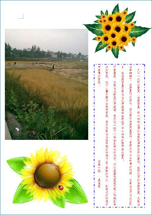 乡村风光电子手抄报