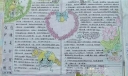 卫生日手抄报设计：保护生态环境 创建美好家园