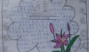 向国旗敬礼做道德的人手抄报