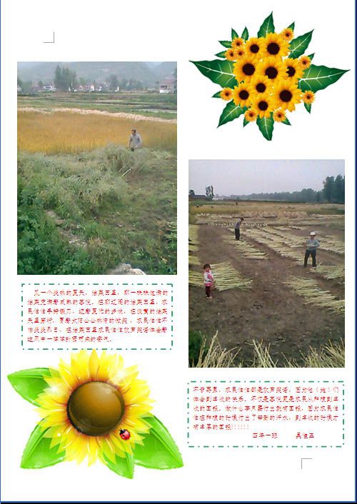 乡村风光电子手抄报