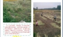 乡村风光电子手抄报