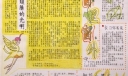 幼教手抄报版面设计图