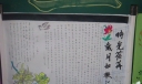 时光荏苒岁月如梭手抄报图片
