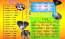 三国人物诸葛亮手抄报