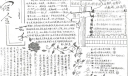 宿舍花季主题手抄报