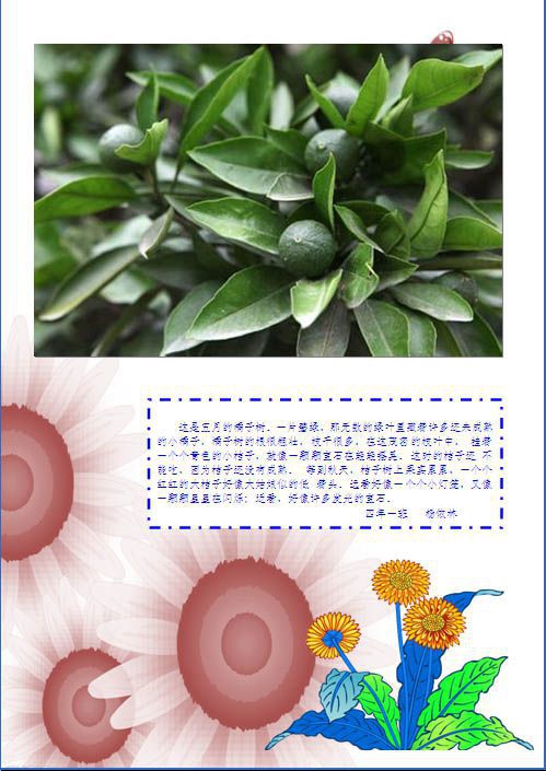 乡村风光电子手抄报