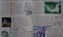 走进贵州领略多彩的民族文化及自然风光手抄报