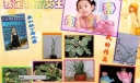 我是优秀女生电子报