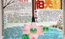 中学生阳光手抄报图片