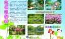 植物园手抄报图片