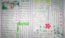 美德手抄报版面设计图-爱之链