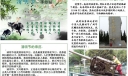 清明节电子小报图片