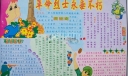 清明手抄报：革命烈士永垂不朽