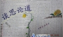 谈思论道手抄报图片