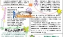 word奥运电子报下载