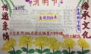 传递亲情传承文化手抄报