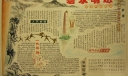 碧水明珠手抄报版面设计图