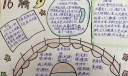 精美漂亮的桥主题手抄报