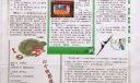 莲花手抄报版面设计图：修德报