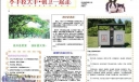 创卫电子手抄报图片