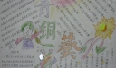 青铜葵花手抄报高清大图