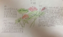 朱熹春日主题手抄报