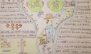 简单漂亮的诚信手抄报图片